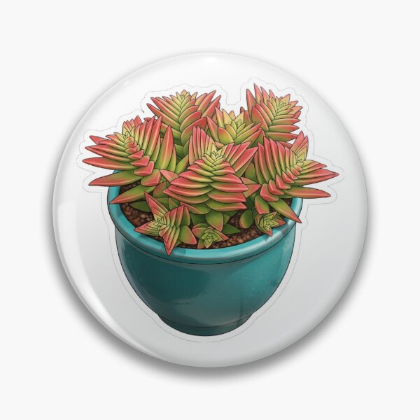 Item preview, Crassula Red Pagoda  designed and sold by Homelesssquid's Stickers & More.