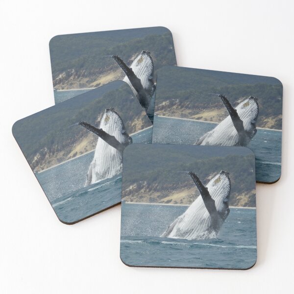 Item preview, Whale breach Hervey Bay Queensland  designed and sold by Mark Grimsley.