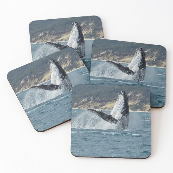 Item preview, Whale breach Hervey Bay Queensland second shot designed and sold by Mark Grimsley.