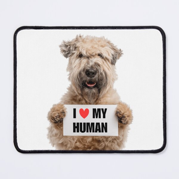 Item preview, Cute Soft Coated Wheaten Terrier with Signboard I love my Human designed and sold by LazyOwlStore.