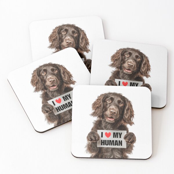 Item preview, Cute Boykin Spaniel with Signboard I love my Human  designed and sold by LazyOwlStore.