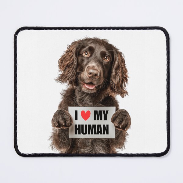 Item preview, Cute Boykin Spaniel with Signboard I love my Human designed and sold by LazyOwlStore.