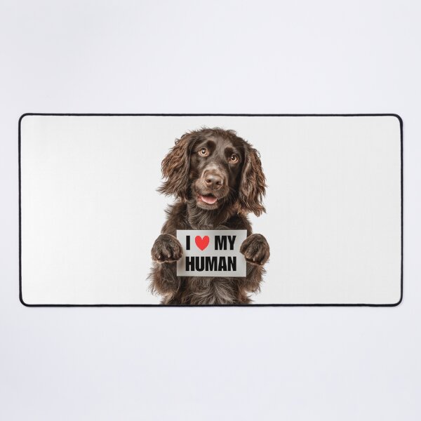 Item preview, Cute Boykin Spaniel with Signboard I love my Human designed and sold by LazyOwlStore.