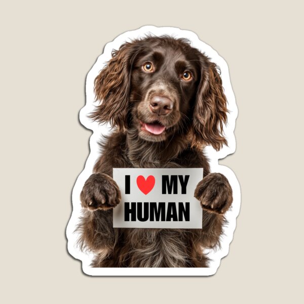 Item preview, Cute Boykin Spaniel with Signboard I love my Human  designed and sold by LazyOwlStore.