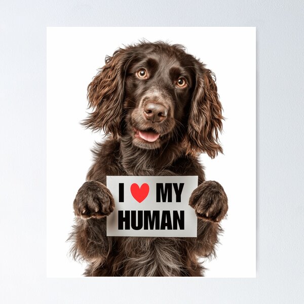 Item preview, Cute Boykin Spaniel with Signboard I love my Human designed and sold by LazyOwlStore.
