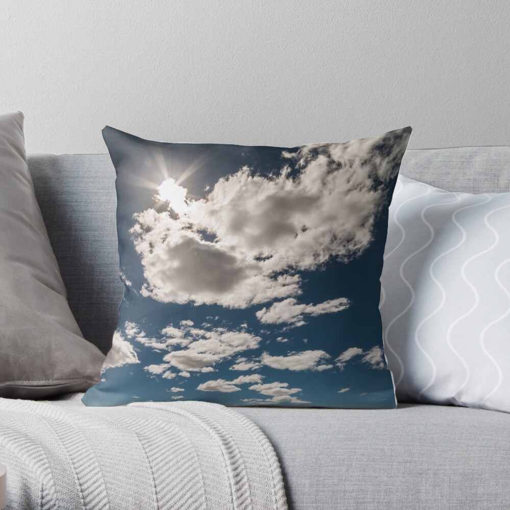 Patagonia Road III Throw Pillow