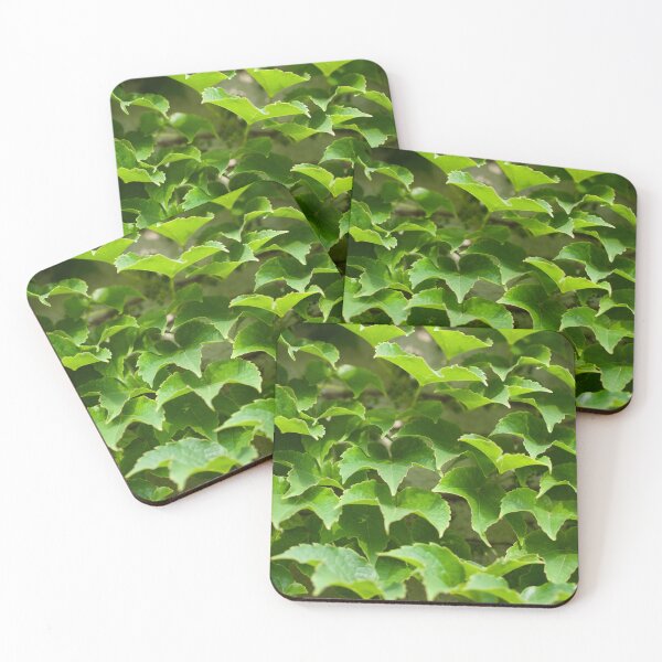 Item preview, Green Virginia Creeper Leaves on a Wall designed and sold by Inimma.