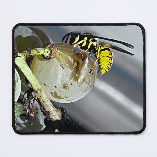 Item preview, „Wespe auf Trauben – Natur im Detail“ : „Wasp on Grapes – Nature in Detail“ designed and sold by Yaroplanner.