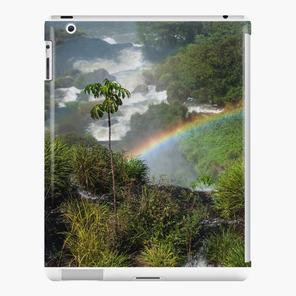 Iguazu Falls iPad Case & Skin