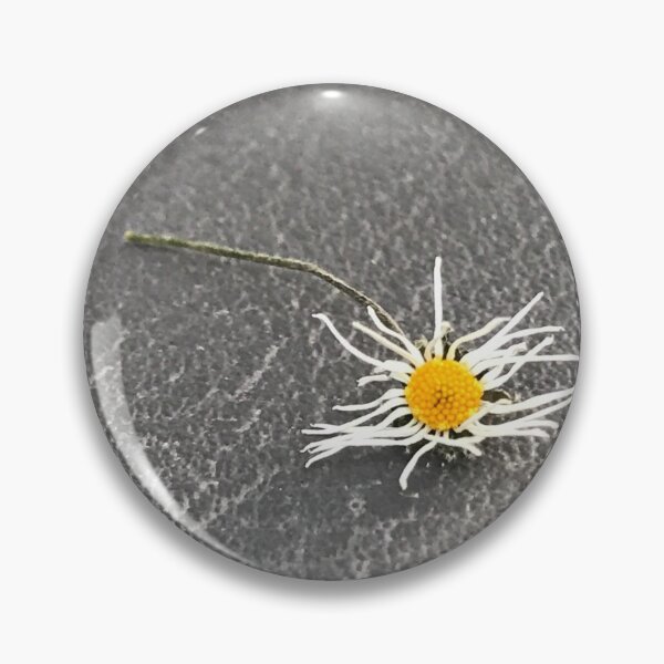 Item preview, „Getrocknete Gänseblümchen auf der Erde – Natur im Detail“: „Dried Daisies on the Ground – Nature in Detail“ designed and sold by Yaroplanner.