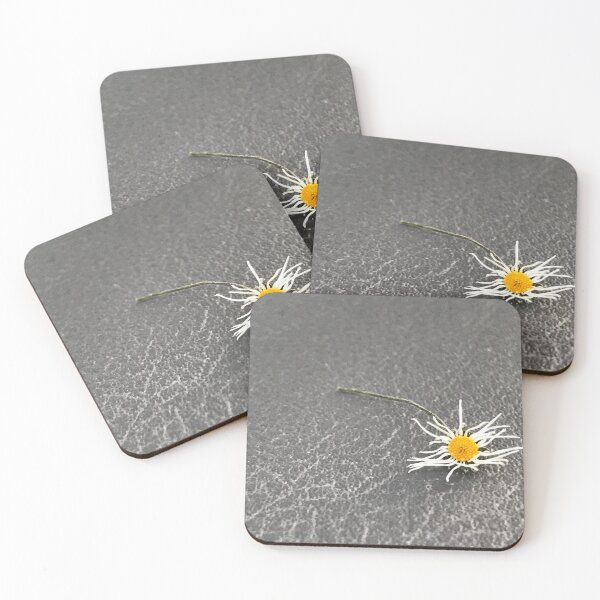 Item preview, „Getrocknete Gänseblümchen auf der Erde – Natur im Detail“: „Dried Daisies on the Ground – Nature in Detail“ designed and sold by Yaroplanner.