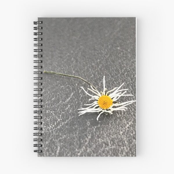 Item preview, „Getrocknete Gänseblümchen auf der Erde – Natur im Detail“: „Dried Daisies on the Ground – Nature in Detail“ designed and sold by Yaroplanner.
