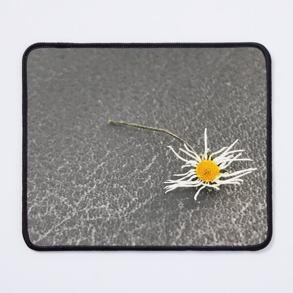 Item preview, „Getrocknete Gänseblümchen auf der Erde – Natur im Detail“: „Dried Daisies on the Ground – Nature in Detail“ designed and sold by Yaroplanner.