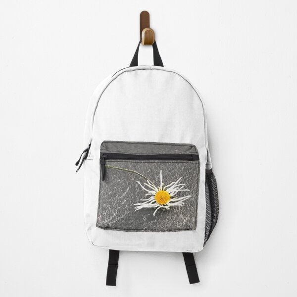 Item preview, „Getrocknete Gänseblümchen auf der Erde – Natur im Detail“: „Dried Daisies on the Ground – Nature in Detail“ designed and sold by Yaroplanner.