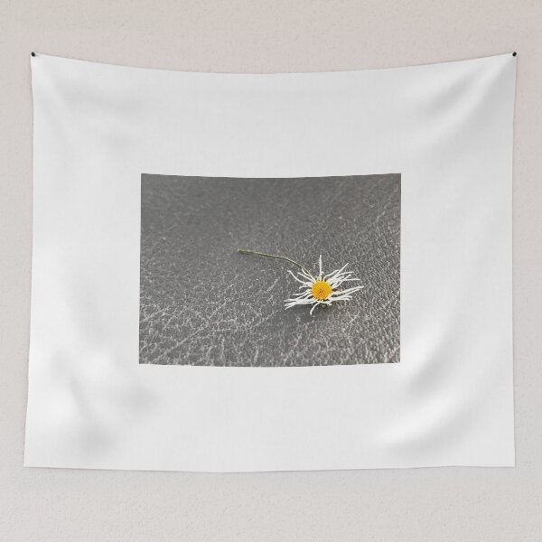 Item preview, „Getrocknete Gänseblümchen auf der Erde – Natur im Detail“: „Dried Daisies on the Ground – Nature in Detail“ designed and sold by Yaroplanner.