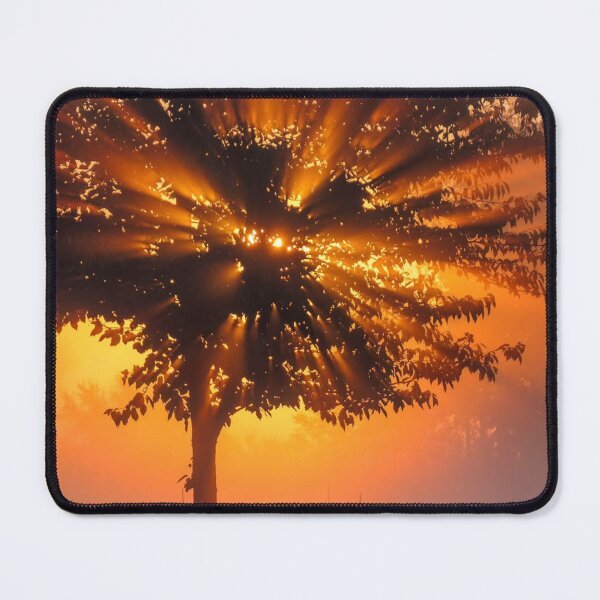Item preview, Sunlit John Mayall & And The Bluesbreakers Vineyard Rows designed and sold by Caleb K  Tamez.