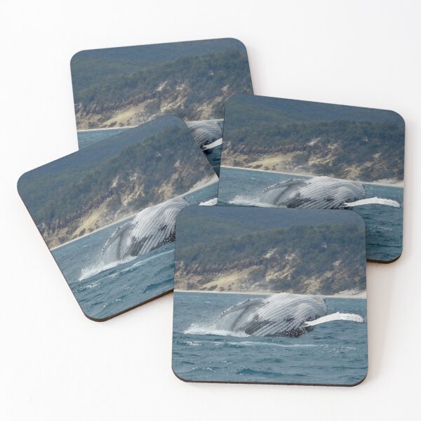 Item preview,  Whale breach Hervey Bay Queensland shot 3 designed and sold by Mark Grimsley.