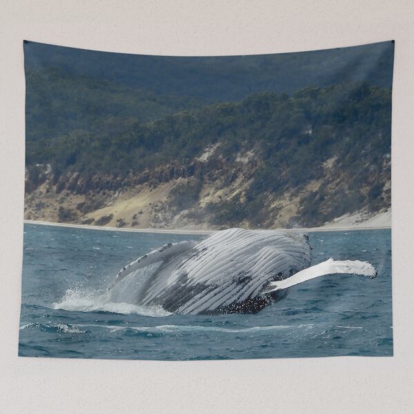 Item preview,  Whale breach Hervey Bay Queensland shot 3 designed and sold by Mark Grimsley.