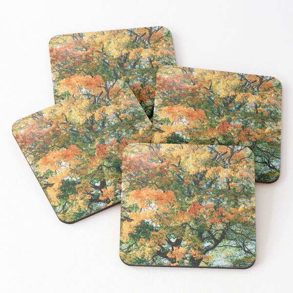 Item preview, Hidden Cassyette eWaterfall Glen designed and sold by Apolonio E  Serna.
