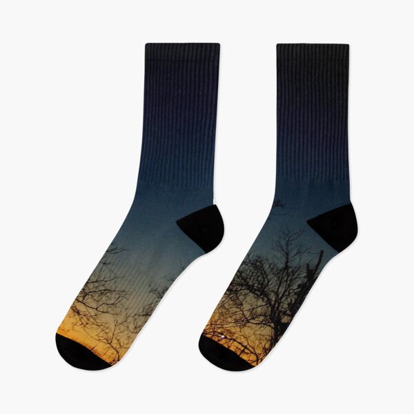 Item preview, Sunset from my back window Blue Gold Black Tree Silhouettes designed and sold by DianeBP.