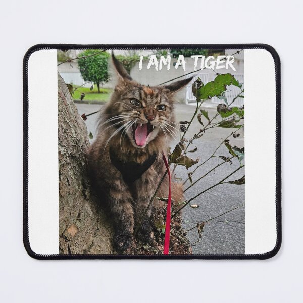 Item preview, I Am a Tiger. I'm not a Mainecoon, I'm a Tiger. designed and sold by Dinasshop.