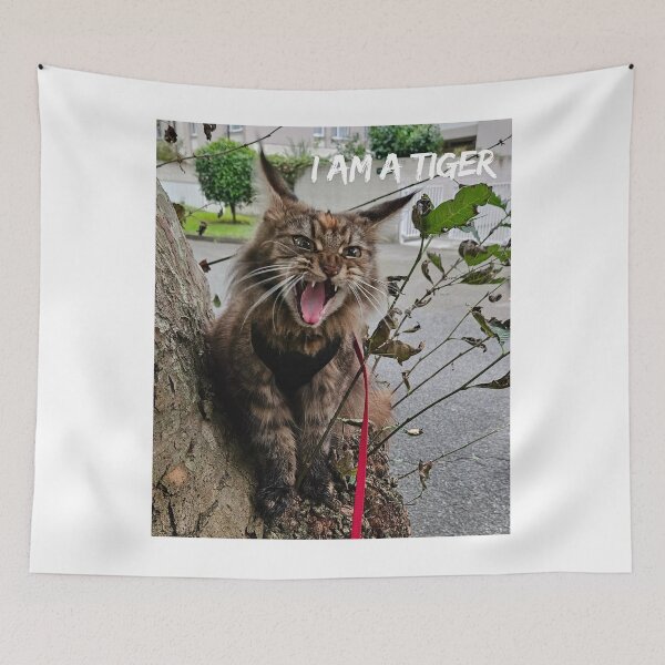Item preview, I Am a Tiger. I'm not a Mainecoon, I'm a Tiger. designed and sold by Dinasshop.