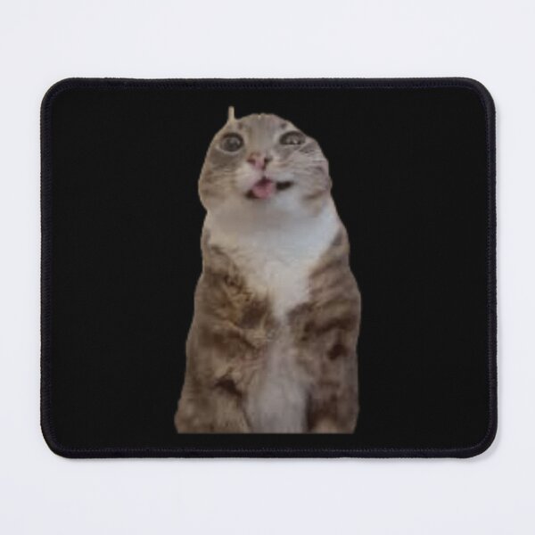 Item preview, Rigby Cat Meme designed and sold by InscoreStela.