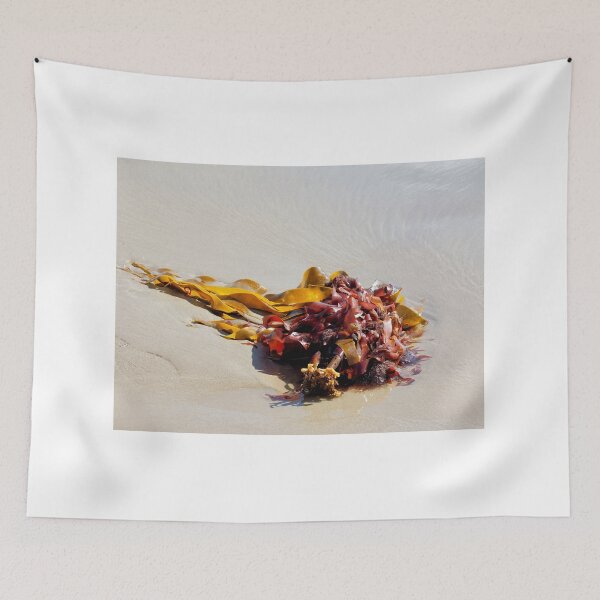 Item preview, Seaweed Washed Up on a Dorset Beach at Low Tide designed and sold by Dorset Girl.