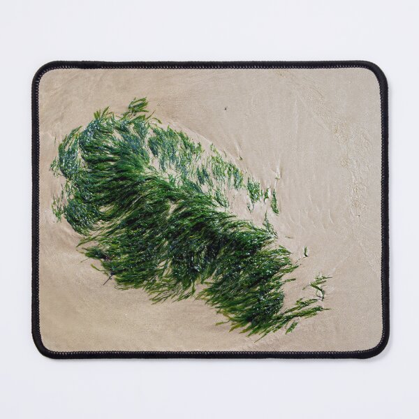 Item preview, Chlorophyta Green Seaweed Isolated Against Smooth Sand designed and sold by Dorset Girl.