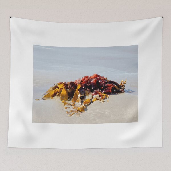 Item preview, Seaweed Washed Up on a Dorset Beach at Low Tide designed and sold by Dorset Girl.
