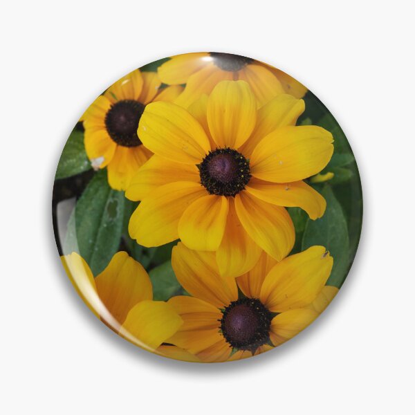 Item preview, The group of  Rudbechia designed and sold by Jouko Lehto Photography.