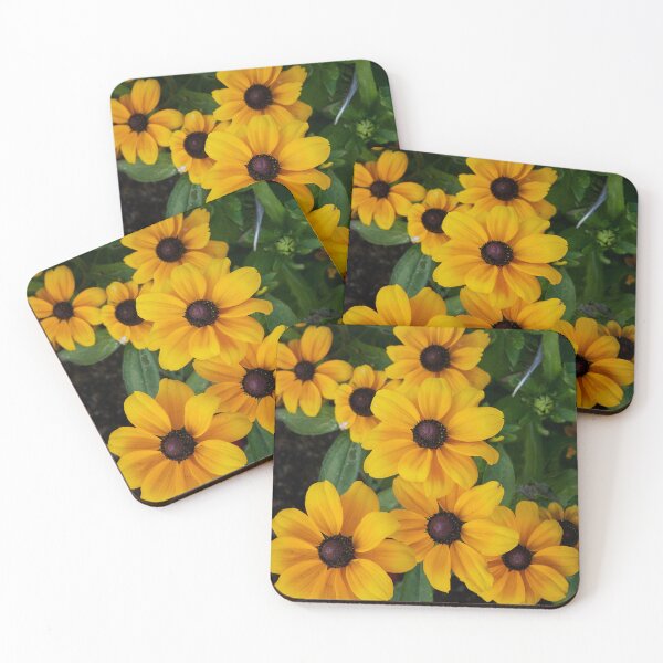 Item preview, The group of  Rudbechia designed and sold by Jouko Lehto Photography.
