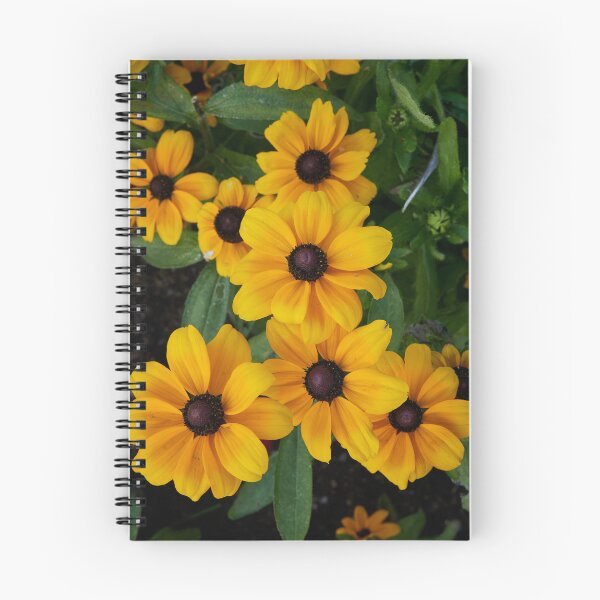 Item preview, The group of  Rudbechia designed and sold by Jouko Lehto Photography.