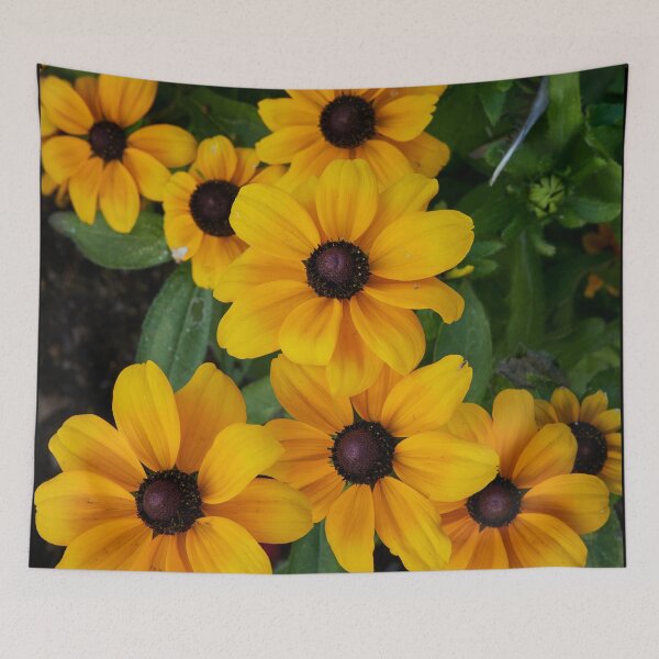 Item preview, The group of  Rudbechia designed and sold by Jouko Lehto Photography.