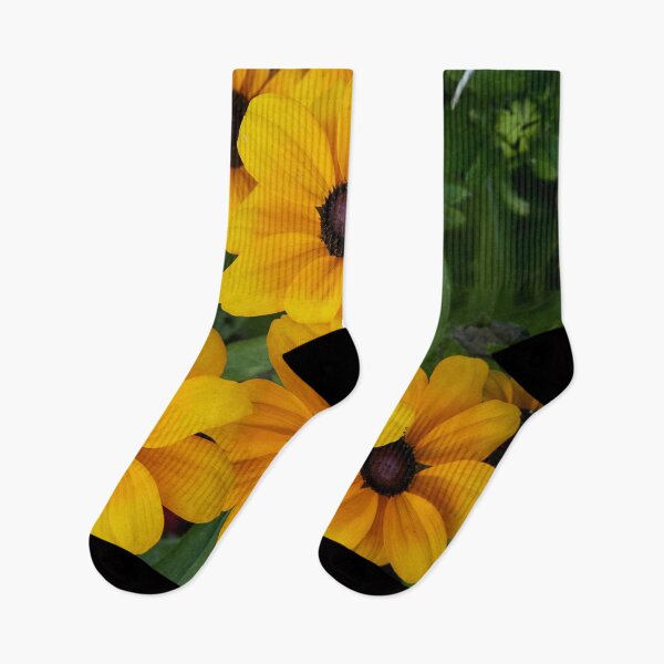 Item preview, The group of  Rudbechia designed and sold by Jouko Lehto Photography.