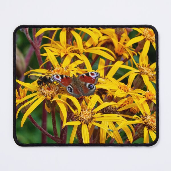 Item preview, Peacock butterfly and a bumbble bee on yellow flowers designed and sold by Jouko Lehto Photography.