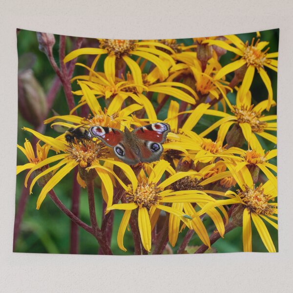 Item preview, Peacock butterfly and a bumbble bee on yellow flowers designed and sold by Jouko Lehto Photography.