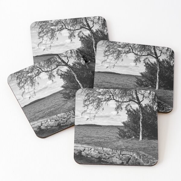 Item preview, Hatanpaa Arboretum 2025 number 4 bw designed and sold by Jouko Lehto Photography.