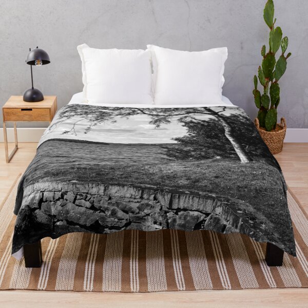 Item preview, Hatanpaa Arboretum 2025 number 4 bw designed and sold by Jouko Lehto Photography.