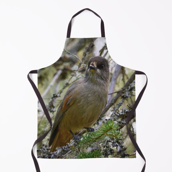 Item preview, Curiosity. Siberian jay designed and sold by Jouko Lehto Photography.