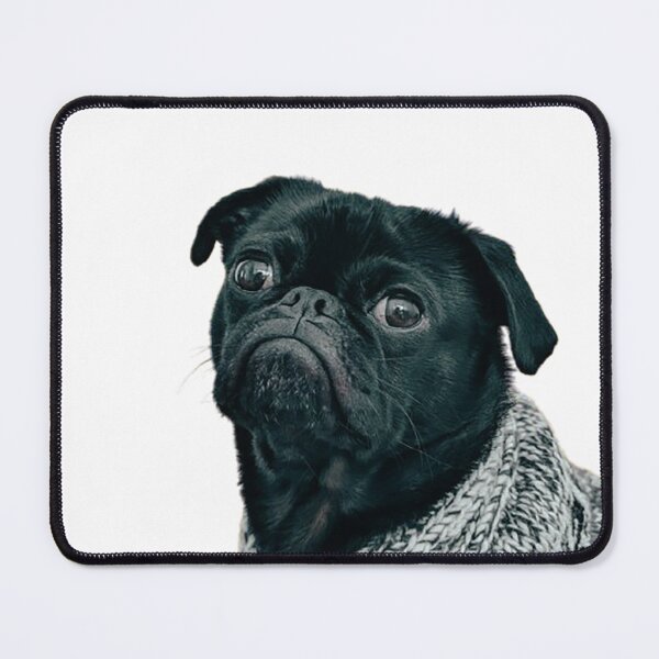 Item preview, Cute Black Pug with Gray Knitted Scarf – Cozy Winter Dog Illustration Gift for Pug Lovers designed and sold by MONINA-DESIGN.