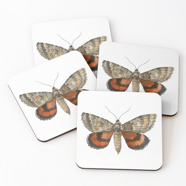 Item preview, Bold Watercolor Moth designed and sold by emiliecsimpsons.
