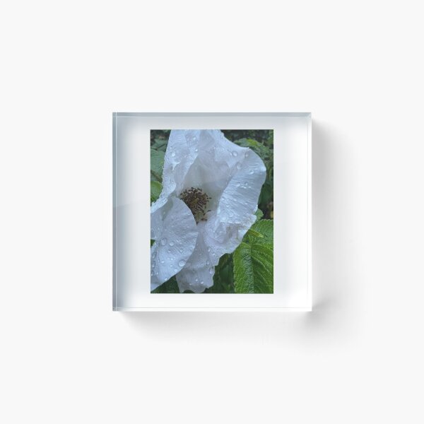 Item preview, Schöne Weiß Blumen – Natur und Eleganz“ : „Beautiful white Flowers – Nature and Elegance“ designed and sold by Yaroplanner.