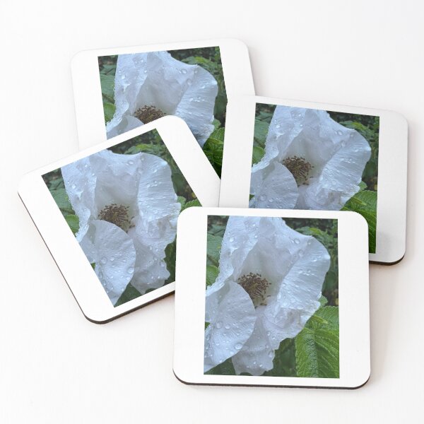 Item preview, Schöne Weiß Blumen – Natur und Eleganz“ : „Beautiful white Flowers – Nature and Elegance“ designed and sold by Yaroplanner.