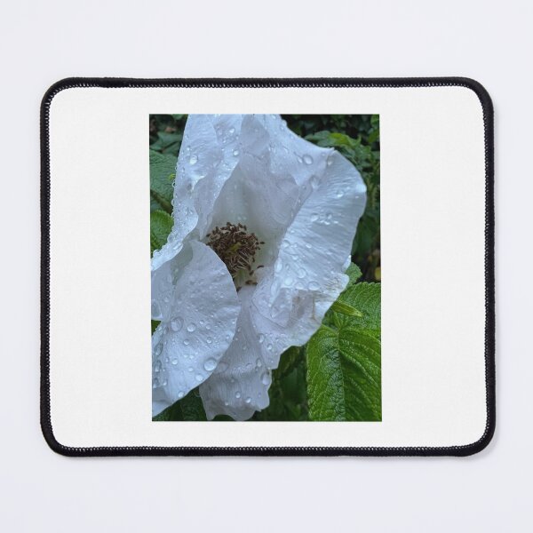 Item preview, Schöne Weiß Blumen – Natur und Eleganz“ : „Beautiful white Flowers – Nature and Elegance“ designed and sold by Yaroplanner.