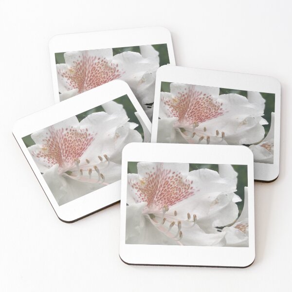 Item preview, „Schöne weiß, lila Blumen – Natur und Eleganz“ •: „Beautiful white und purple Flowers – Nature and Elegance“ designed and sold by Yaroplanner.