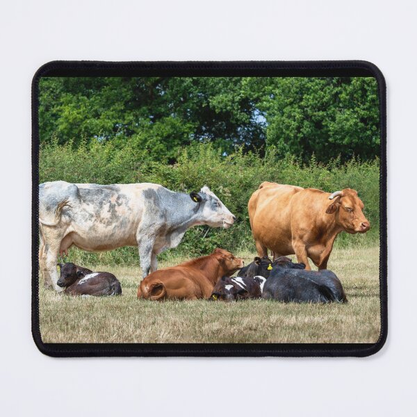 Item preview, Herd of Cows II designed and sold by Jane Stanley Photography.