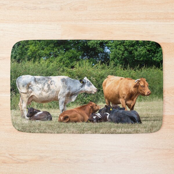 Item preview, Herd of Cows II designed and sold by Jane Stanley Photography.