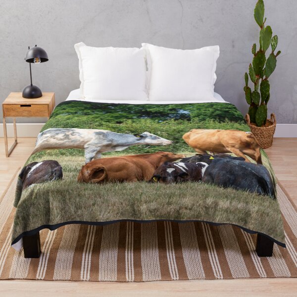 Item preview, Herd of Cows II designed and sold by Jane Stanley Photography.