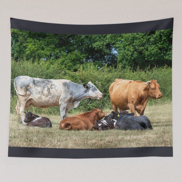 Item preview, Herd of Cows II designed and sold by Jane Stanley Photography.
